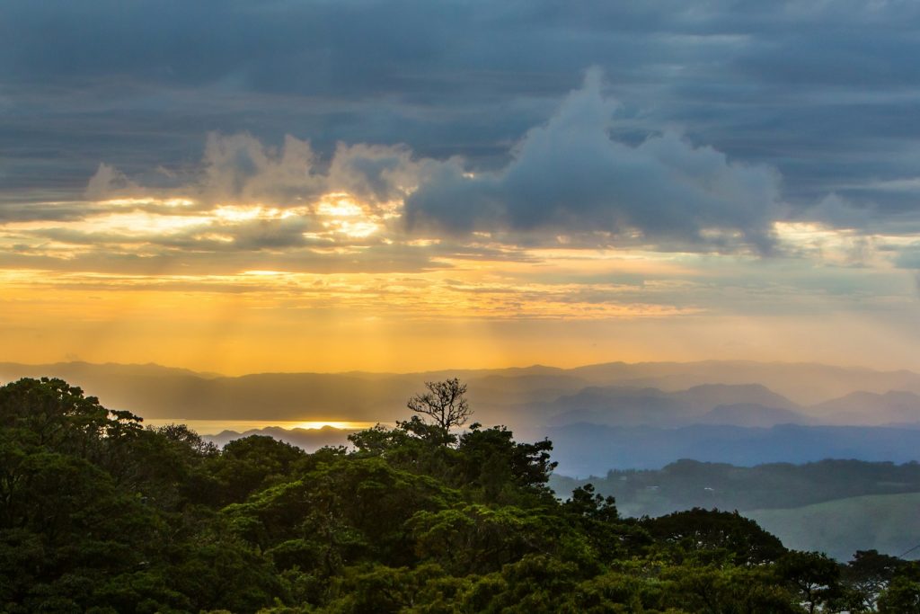 la foret de nuage de Monteverde au Costa Rica