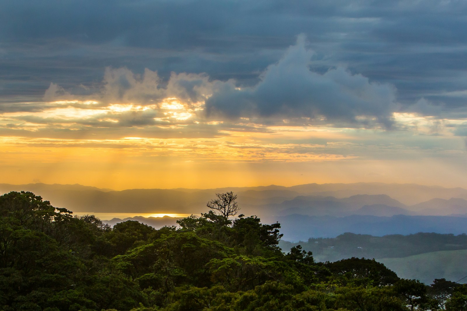 Au cœur de la forêt de Nuages de Monteverde au Costa Rica : immersion dans un écosystème unique