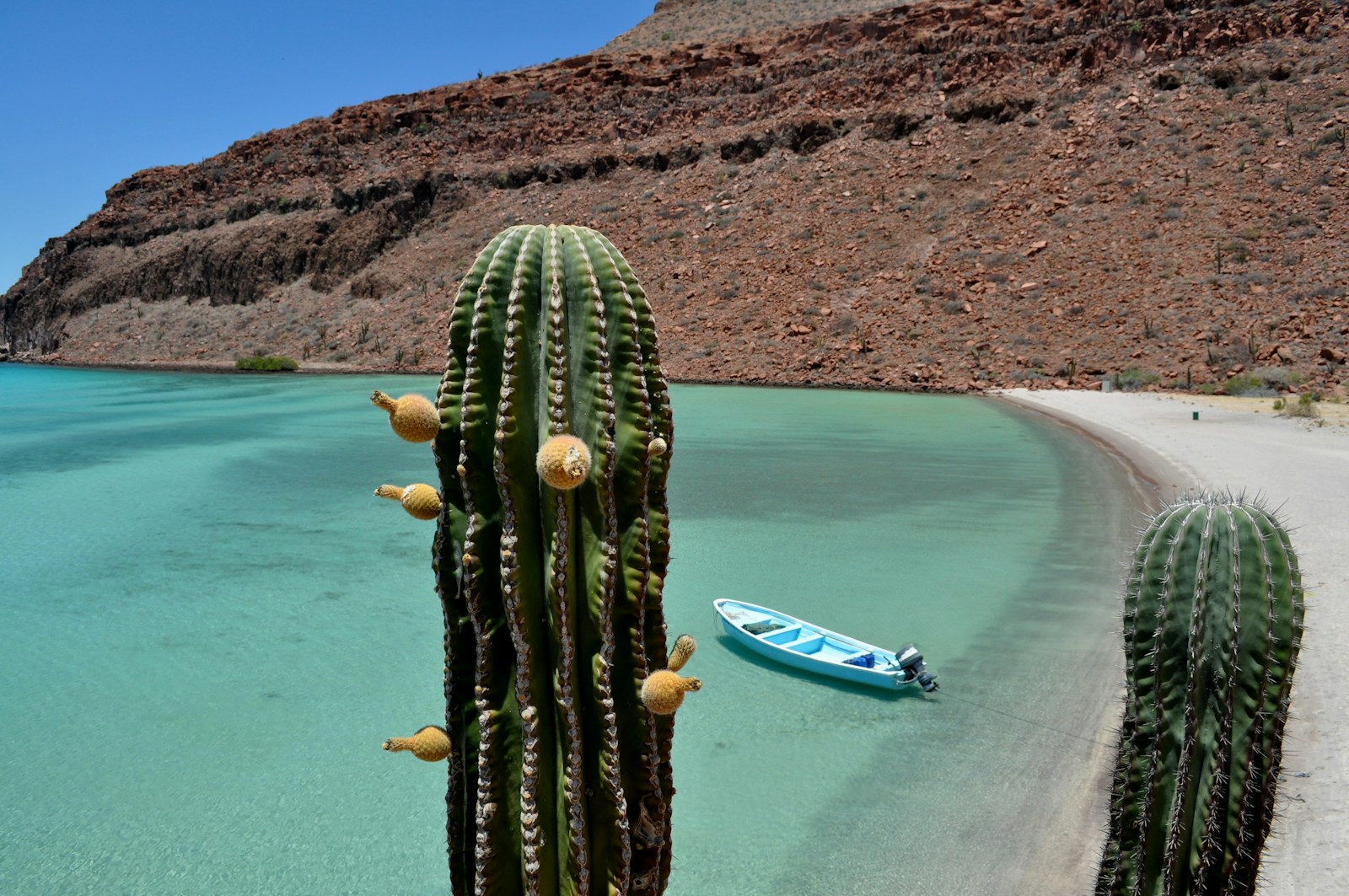 Évasion à Baja California : à la découverte des plages cachées du Mexique